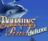 Dolphin's Pearl at SlimKing